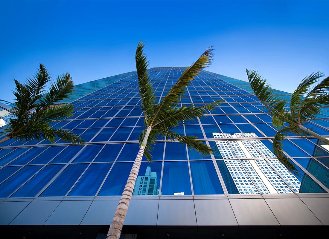 About Our Agency - Closeup View of a Modern Skyscraper with Glass Panels and Palm Trees in the Front Against a Blue Sky