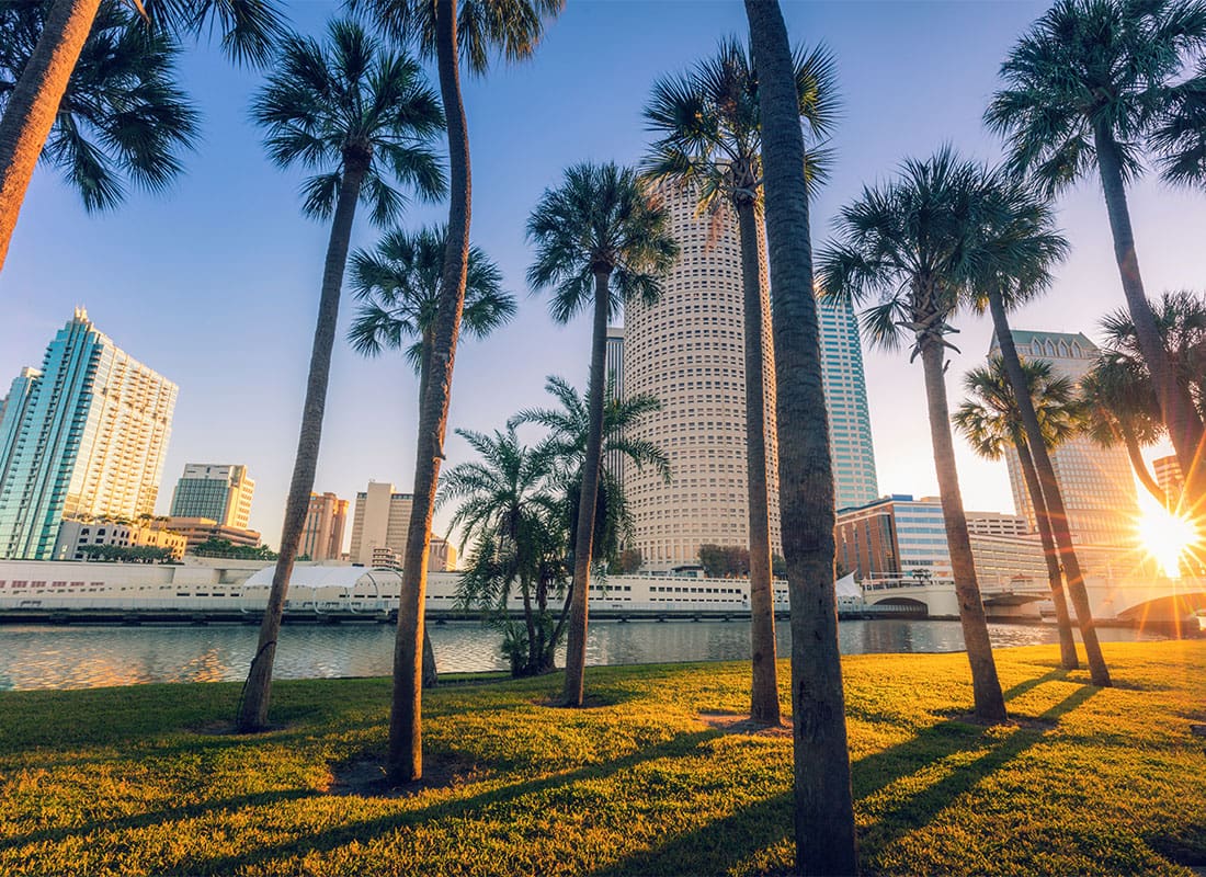 Tampa FL Insurance - Downtown Tampa Florida Palm Trees by Water at Sunset